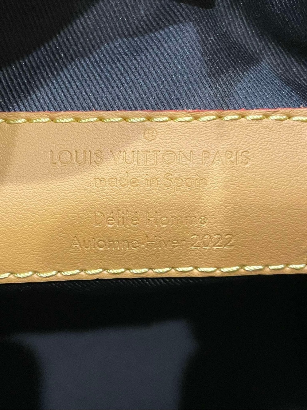 Louis Vuitton Limited Edition Hobo Cruiser PM Blurry Monogram - Picture 5 of 13